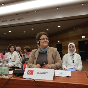 Bakanımız Derya Yanık Roma’da Yaşlanma İle İlgili Ülke Beyanını Sundu - fotoğraf 4