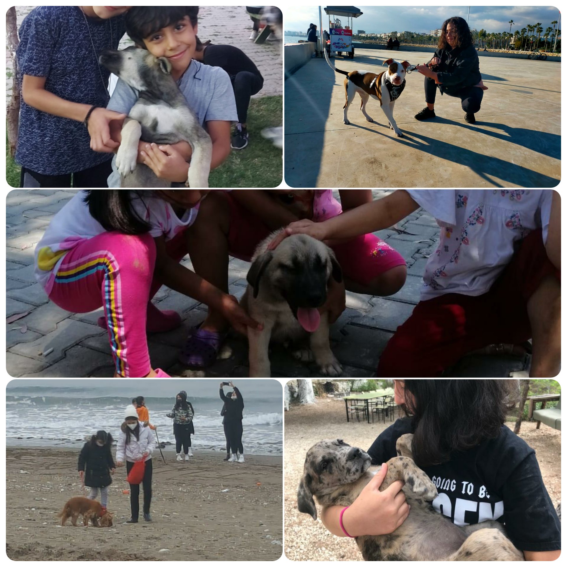 Onlar hepimize emanet. 4 Ekim Hayvanları Koruma Günü Hayatı paylaştığımız can dostlarımız.🐈🐕