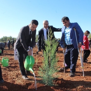 Milli Ağaçlandırma Günü  Muğla’da Kutlandı. - fotoğraf 3
