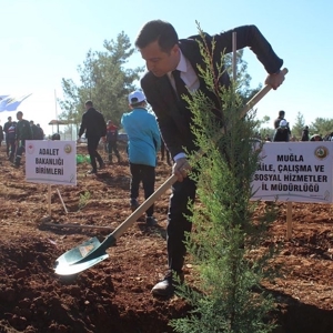 Milli Ağaçlandırma Günü  Muğla’da Kutlandı. - fotoğraf 2