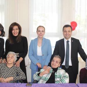 Yaşlı Çınarlara Yılbaşı Sürprizi - fotoğraf 1