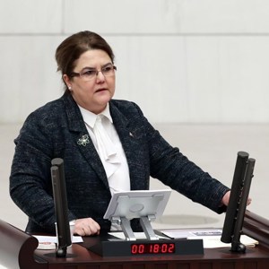 2023 Budget of the Ministry of Family and Social Services Adopted in the General Assembly of the Grand National Assembly of Türkiye - fotoğraf 2