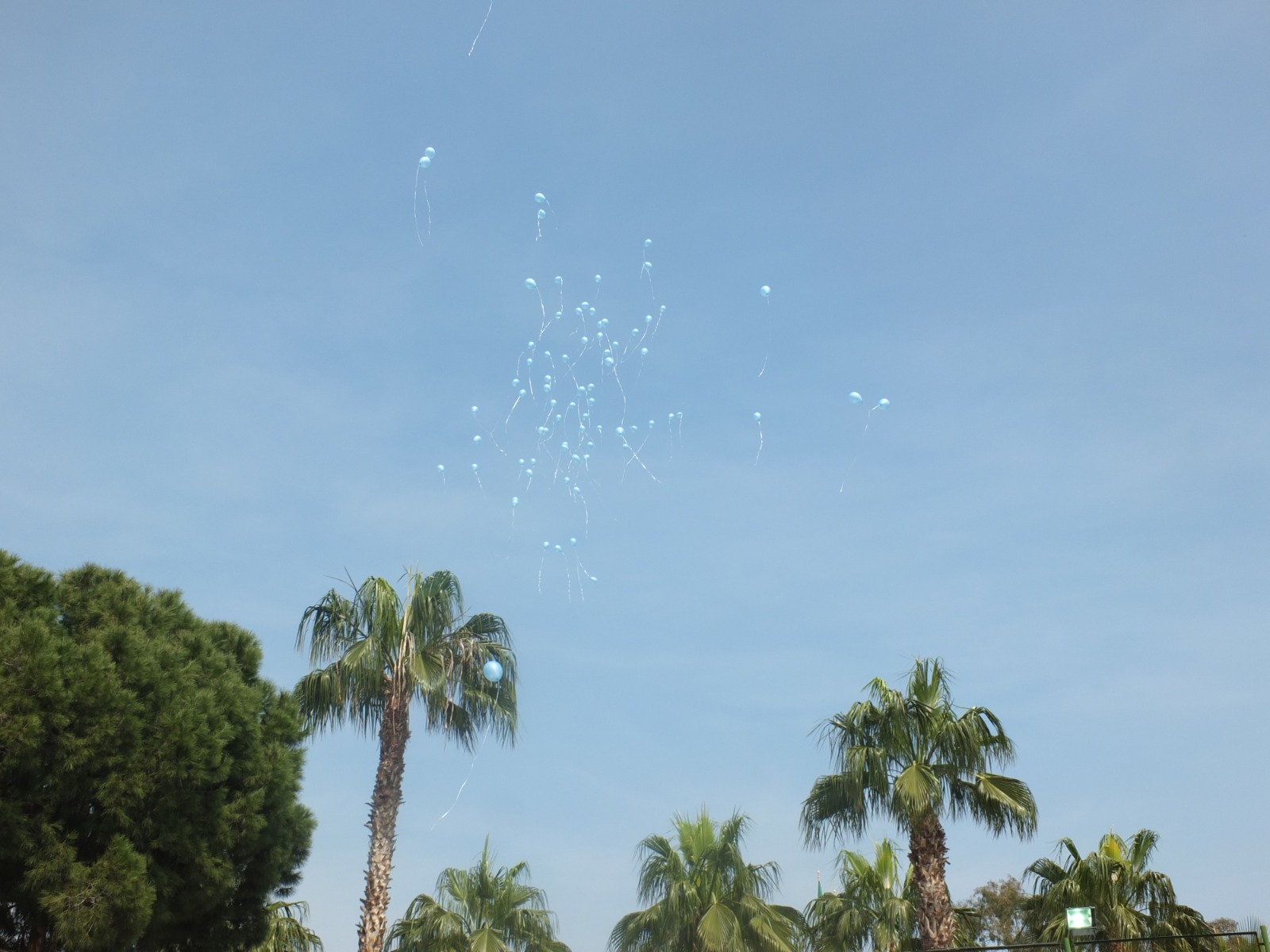 Farklılıkları bu dünyaya çok şey katacak,otizm eksiklik değil farklılıktır.Mavi balonlar otizme dikkat çekmek amacıyla gökyüzü ile buluştu.💙  📍 Mersin Otizm Gündüzlü Bakım Merkezi 