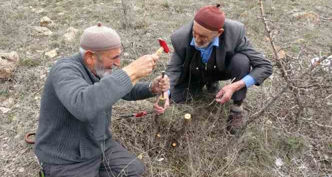 Huzurevi Sakinleri Ağaçlarını Aşılayarak Yenilebilir Meyvelerin Yetişmesine Vesile Oluyor