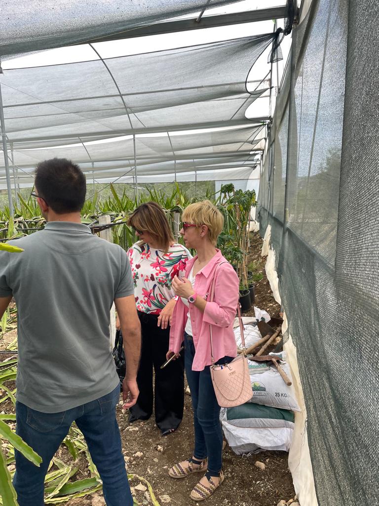 Kadın kooperatifleri, kadınlarımızın ekonomik ve toplumsal hayata katılmalarına önemli katkı sağlar. İl Müdürlüğümüz #KadınHizmetleri Birimimizle #ZahideHanımKadınKooperatifi'ni ziyaret ettik,serada ejder meyvesi fide bakımını yerinde gördük.🌵