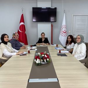 Şube Müdürü Şirin Targan Çalış başkanlığında kadın hizmetleri alanında çalışan kurum yöneticileri ve personel ile toplantı düzenlendi. - fotoğraf 1