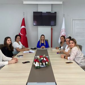 Çocuk Koruma Hizmetleri Planlama ve Çocuk Bakım Kuruluşlarının Çalışma Usul ve Esasları Hakkında Yönetmelik kapsamında çocuk hizmetlerinde çalışan meslek elemanları ile toplantı düzenlendi - fotoğraf 1