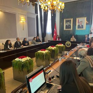 6284 Sayılı Kanun Kapsamında Kadına Yönelik Şiddetle Mücadele İl Koordinasyon ve Değerlendirme 2023/4 toplantısı Vali Yardımcısı Sayın Elif Canan TUNCER Başkanlığında Gerçekleştirildi. - fotoğraf 2