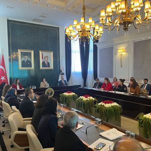 6284 Sayılı Kanun Kapsamında Kadına Yönelik Şiddetle Mücadele İl Koordinasyon ve Değerlendirme 2023/4 toplantısı Vali Yardımcısı Sayın Elif Canan TUNCER Başkanlığında Gerçekleştirildi. - fotoğraf 3