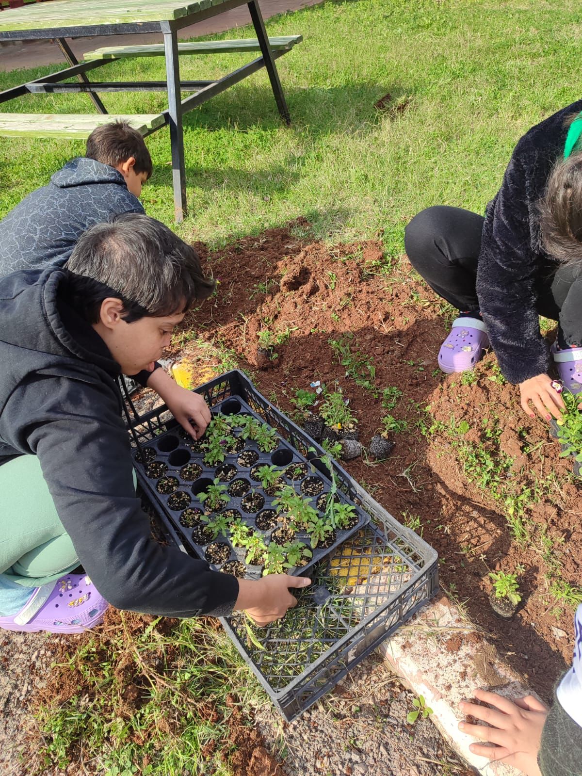 #NihatSözmenBakımRehabilitasyonveAileDanışmaMerkezi çocuklarımız fidanlarını toprakla buluşarak hem güzel vakit geçirdiler hem de geleceğe nefes oldular.🌲