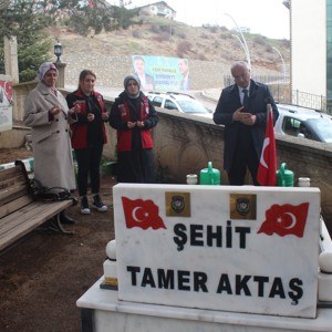 18 Mart Çanakkale Zaferi Kabir Ziyareti - fotoğraf 3