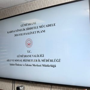 KADINA YÖNELİK ŞİDDETLE MÜCADELE 2024 YILI FAALİYET PLANI - fotoğraf 3