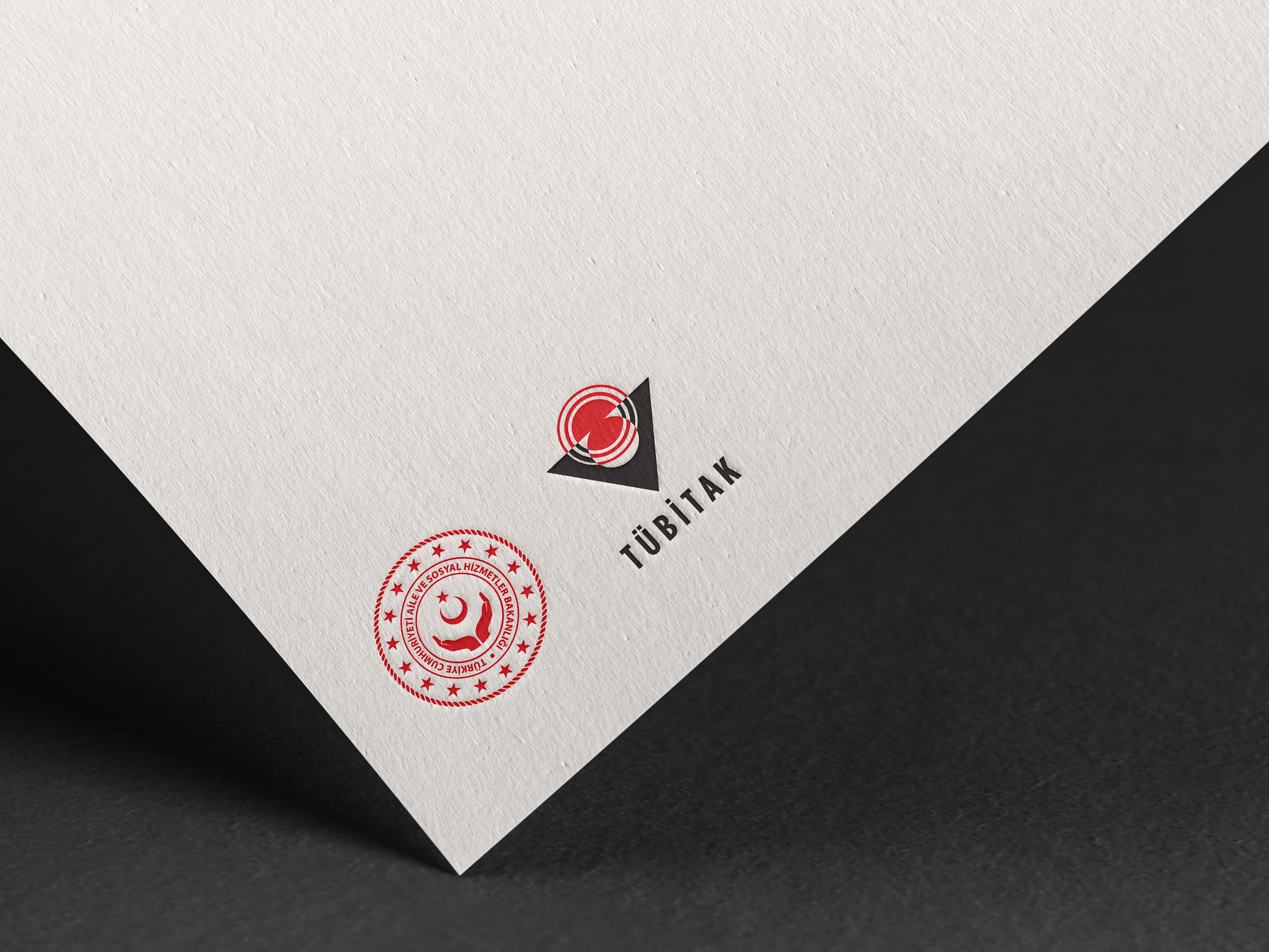 Aile ve Sosyal Hizmetler Bakanlığınca  "Türkiye’de Kadına Yönelik Şiddet Araştırması"nın üçüncüsü gerçekleştirilecek