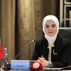 Bakanımız Göktaş, Türk Devletleri Teşkilatı 1'nci Sosyal Politika Bakanlar Toplantısı, “Bakanlar Yuvarlak Masa Toplantısı”na Katıldı - fotoğraf 4