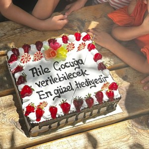Emine Erdoğan Hanımefendi ve Bakanımız Mahinur Özdemir Göktaş, Gönül Elçileri ve koruyucu ailelerle bir araya geldi - fotoğraf 4