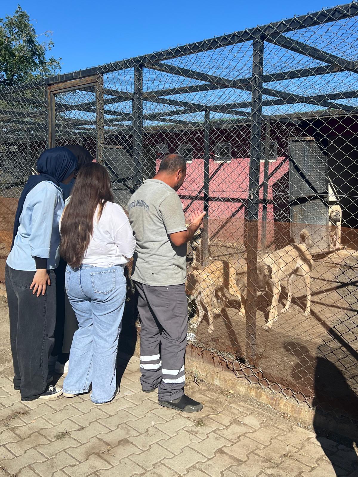 Çocuk Evleri Koordinasyon Merkezi Müdürlüğünde koruma ve bakım altında bulunan çocuklarımız Hayvanları koruma günü münasebetiyle Bingöl Belediyesine bağlı hayvan barınağını ziyaret ederek,çocuklarımız beraberinde götürdükleri mamaları dağıttı.