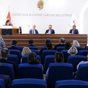 Kadına Yönelik Şiddetle Mücadele 3. Dönem Toplantısı - fotoğraf 4