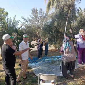 Toprak en büyük şifa.🌳 - fotoğraf 1