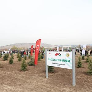 Bakanımız Mahinur Özdemir Göktaş, Milli Ağaçlandırma Günü’nde Gazze Hatıra Ormanı’na Fidan Dikti - fotoğraf 13