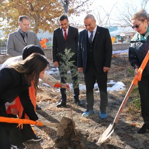 Elazığ'da Kadına Yönelik Şiddetle Mücadele İçin Fidanlar Toprakla Buluştu - fotoğraf 1