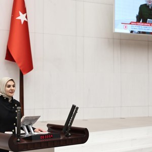 Aile ve Sosyal Hizmetler Bakanlığının 2025 Yılı Bütçesi TBMM Genel Kurulu’nda Kabul Edildi. - fotoğraf 3