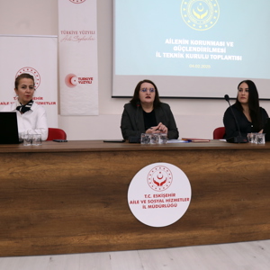 Ailenin Korunması ve Güçlendirilmesi İl Teknik Kurul Toplantısı - fotoğraf 3