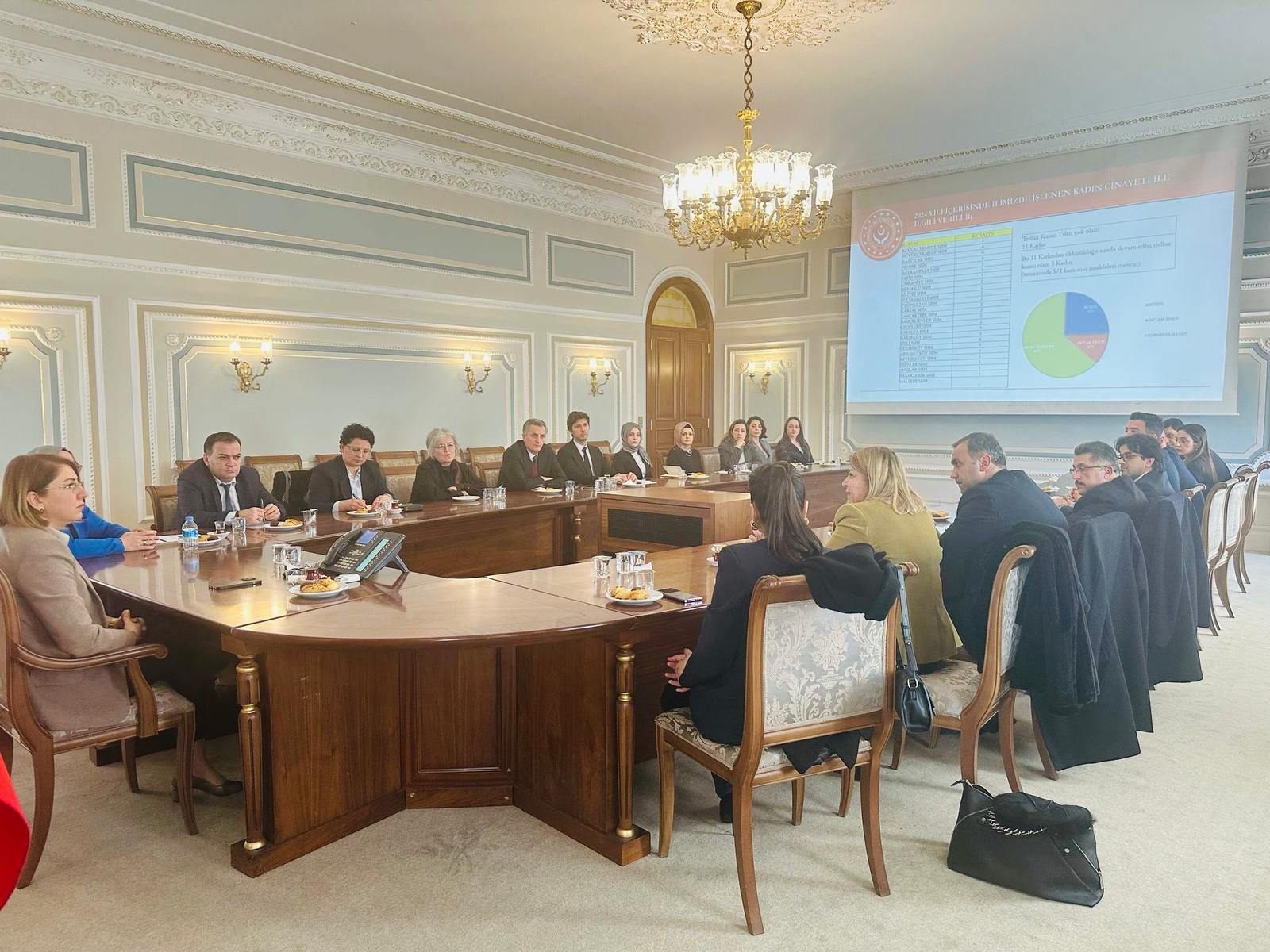 Vali Yrd. Sn. Serap ÖZMEN ÇETİN başkanlığında “Şiddet Mağduru Kadınların Adalete Erişimi” konulu koordinasyon toplantısı gerçekleştirilmiştir.