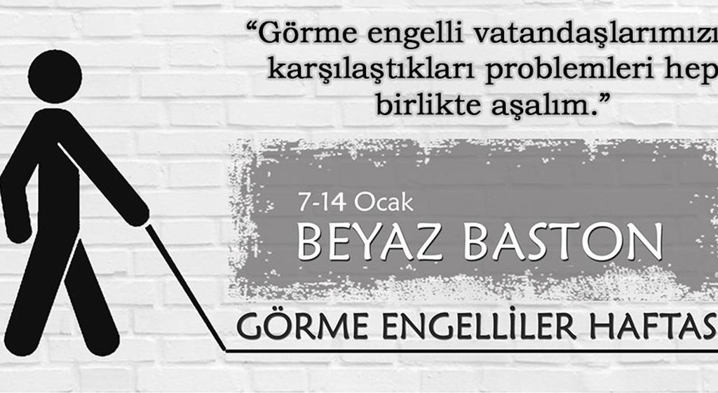 Erişilebilir Bir Dünya, Engelsiz Bir Gelecek