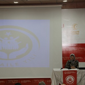 2025 Aile Yılı Kapsamı  - fotoğraf 2