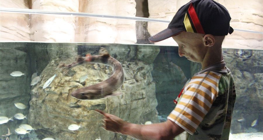 İstanbul 2014 Uluslararası Progeria Çocuklar Buluşması