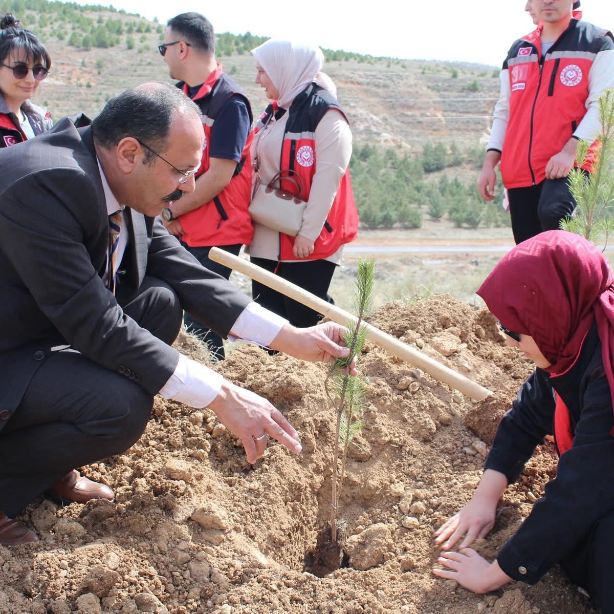 21 Mart Dünya Ormancılık Günü ve Orman Haftası - fotoğraf 2