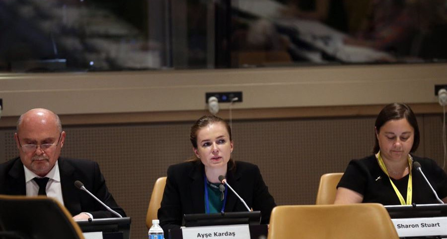 Birleşmiş Milletler Engelliler İçin Bir Arada