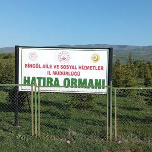 2025 Aile Yılı etkinliklerine esas olmak üzere Vali Yardımcımız Uğur TUTKAN ve İl Müdürümüz Abdulbari AKSOY, İl Müdürlüğümüze ait Hatıra Ormanı'nda incelemelerde bulunup yeni projeleri istişare ettiler. - fotoğraf 1