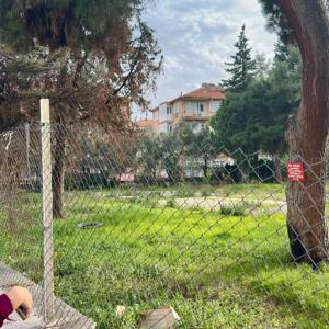 Daire Başkanımız Sayın Ahmet EVCİL ve İl Müdürümüz Emine BÖÇKÜN,  İl Müdürlüğü ve Sosyal Hizmet Merkezi (SHM) Binası için Belirlenen Arsayı İnceledi. - fotoğraf 2