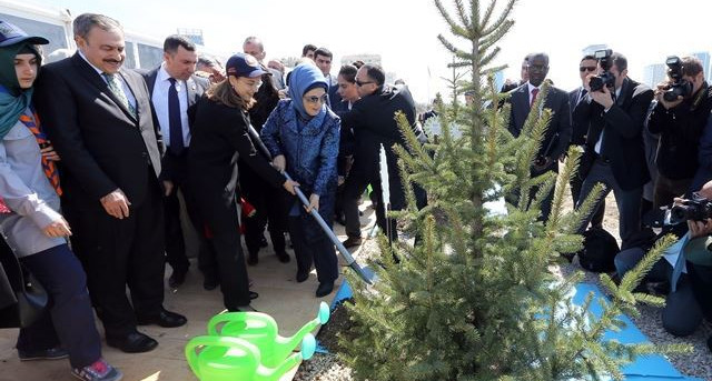 81 ile Bereket Ormanı