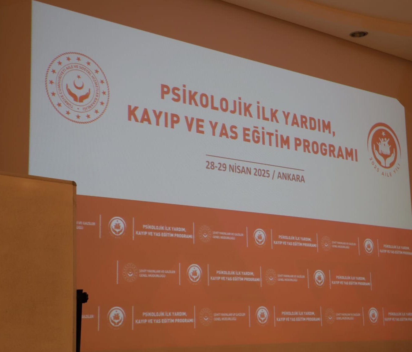 Türkiye Genelinde Psikolojik İlk Yardım, Kayıp ve Yas Eğitimi Başladı - fotoğraf 8
