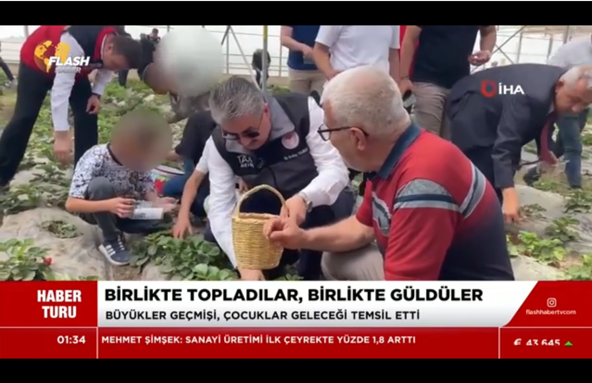 Yağlı Tohumlar Araştırma Enstitüsünde Çilek Hasadı Yapıldı