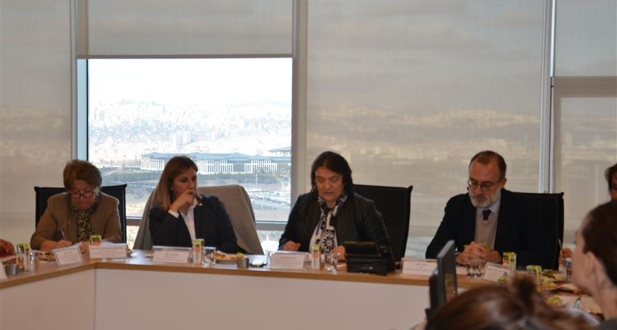 Türkiye’nin Mühendis Kızları (TMK) Projesi I. Yönlendirme Kurulu Toplantısı 2 Aralık 2016 Tarihinde Kadının Statüsü Genel Müdürlüğü toplantı salonunda Gerçekleştirildi.