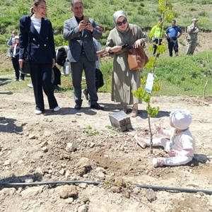 Minik Fidanlar Büyük Aileler – Hatıra Ormanı Fidan Dikimi - fotoğraf 2
