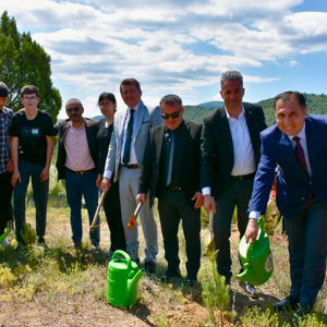 2025 Aile Yılı Hatıra Ormanı - fotoğraf 2