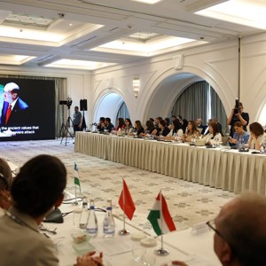 Bakanımız Göktaş, "Güçlü Aileler, Güçlü Toplumlar: TDT Ülkelerinde Aileyi Destekleyici Politikalar" yan etkinliğinde konuştu - fotoğraf 2