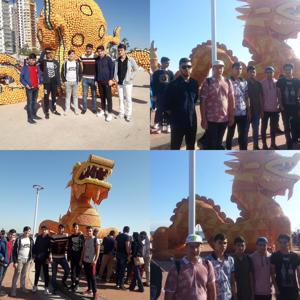 CEKOM 7. Uluslararasi Narenciye Festivaline Katildi - fotoğraf 9