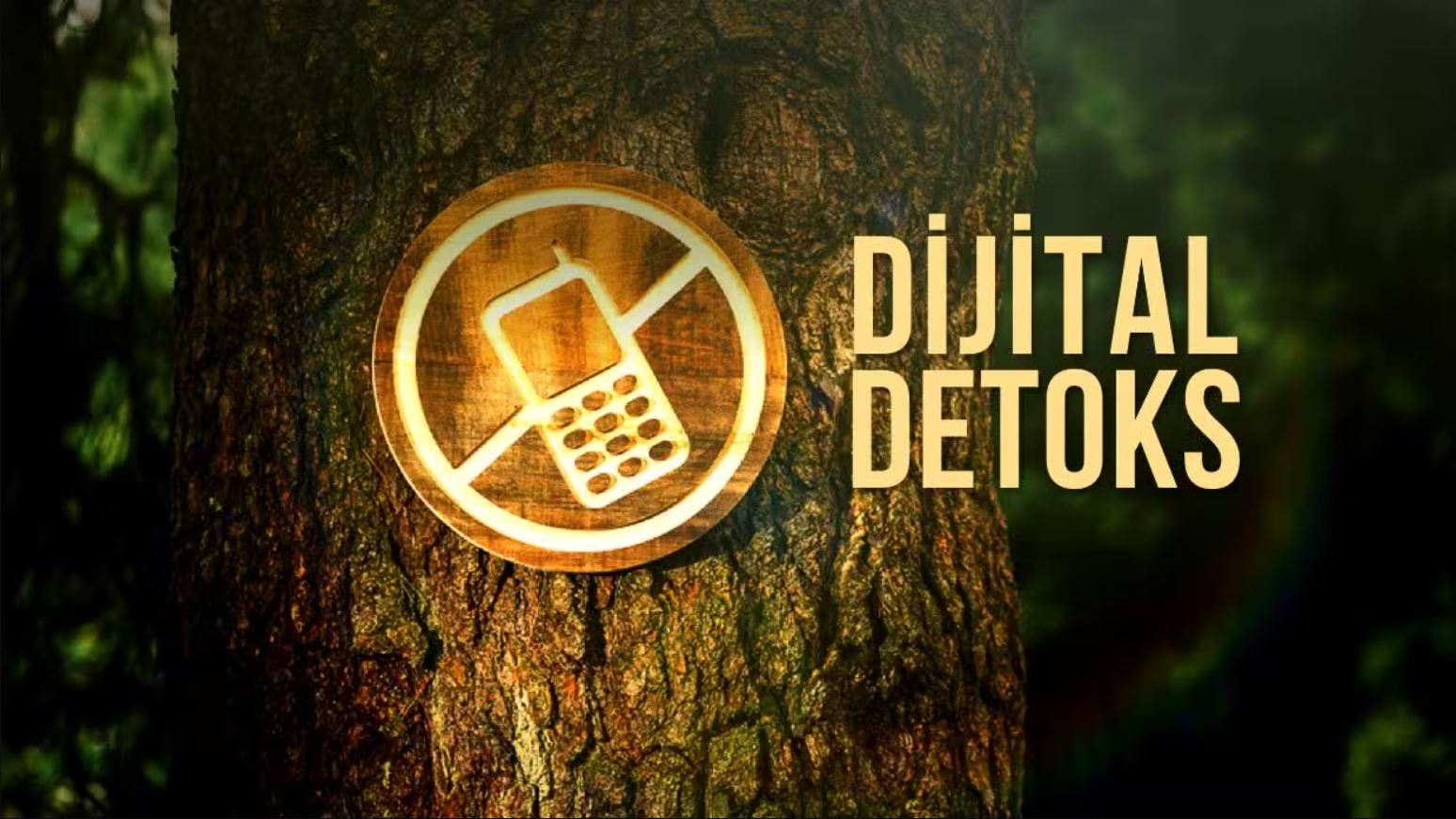 Dijital Detoks Etkinliği