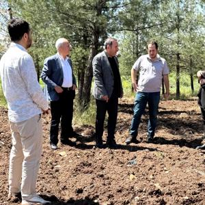 İl Müdürümüz Sayın Aydın POLAT Koruyucu Aile Hatıra Ormanı projesi kapsamında orman alanını yerinde inceledi.  - fotoğraf 2