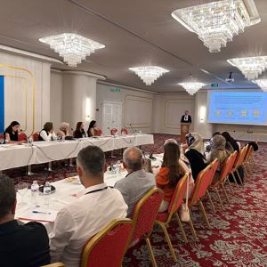 Koruyucu Aile Sisteminin Güçlendirilmesine Yönelik Paydaş Toplantısı Gerçekleştirildi - fotoğraf 3