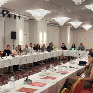 Koruyucu Aile Sisteminin Güçlendirilmesine Yönelik Paydaş Toplantısı Gerçekleştirildi - fotoğraf 1