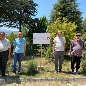 Engelsiz Yaşam Merkezimizde Fidan Dikimi Etkinliği - fotoğraf 1