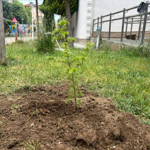 Yeşeren Fidanlar Güçlenen Aileler - fotoğraf 1