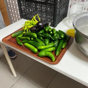 “Üretimden tüketime, katılımcı yaşam becerileri etkinliği”  - fotoğraf 5