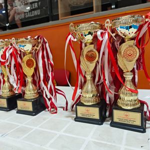 Çocuk Hizmetleri Genel Müdürlüğü 7. Voleybol Türkiye Şampiyonası Grup Elemelerinde Kız Takımımız ve Erkek Takımımız Marmara Bölge Şampiyonu Oldu - fotoğraf 3